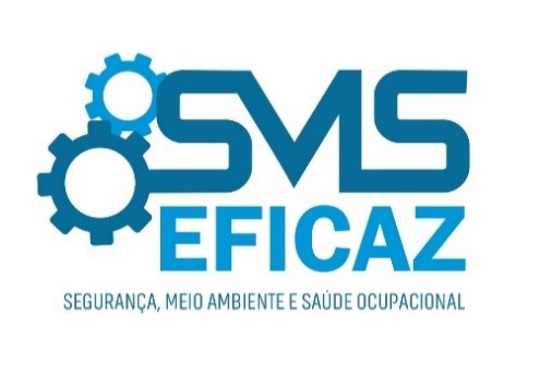 D. R. DE OLIVEIRA SILVA